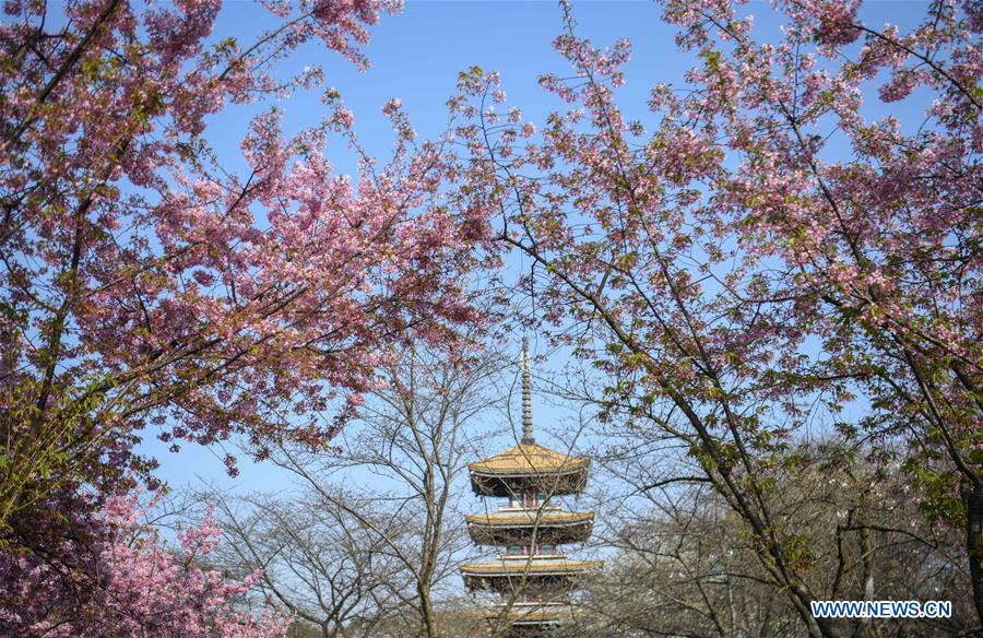 CHINA-HUBEI-WUHAN-SPRING SCENERY (CN)