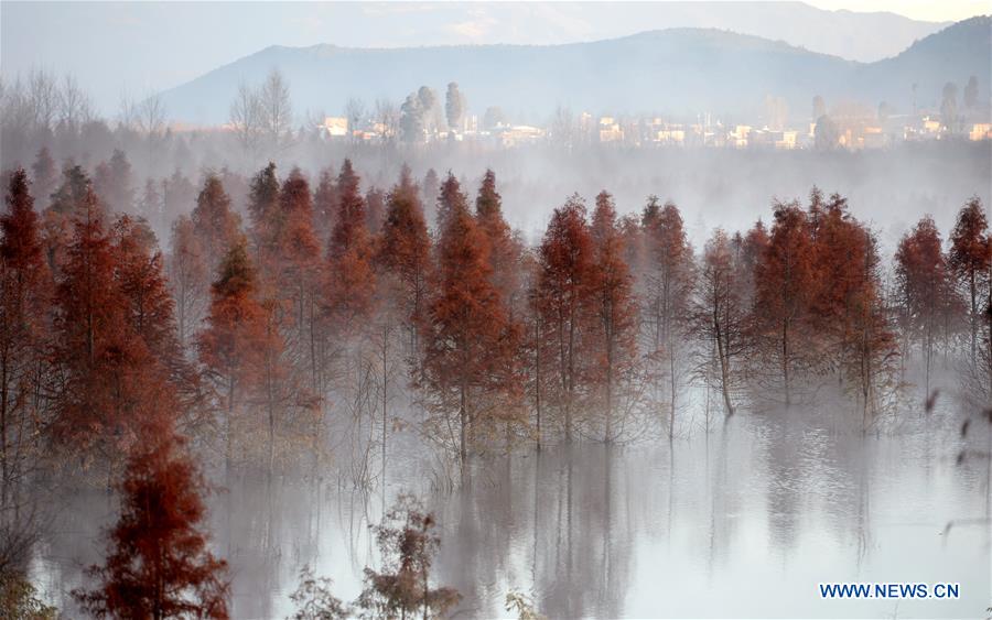 CHINA-YUNNAN-KUNMING-WETLAND (CN)