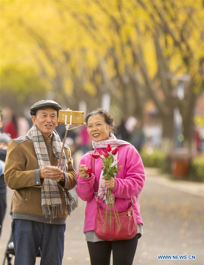 #CHINA-JIANGSU-GINKGO TREES (CN)