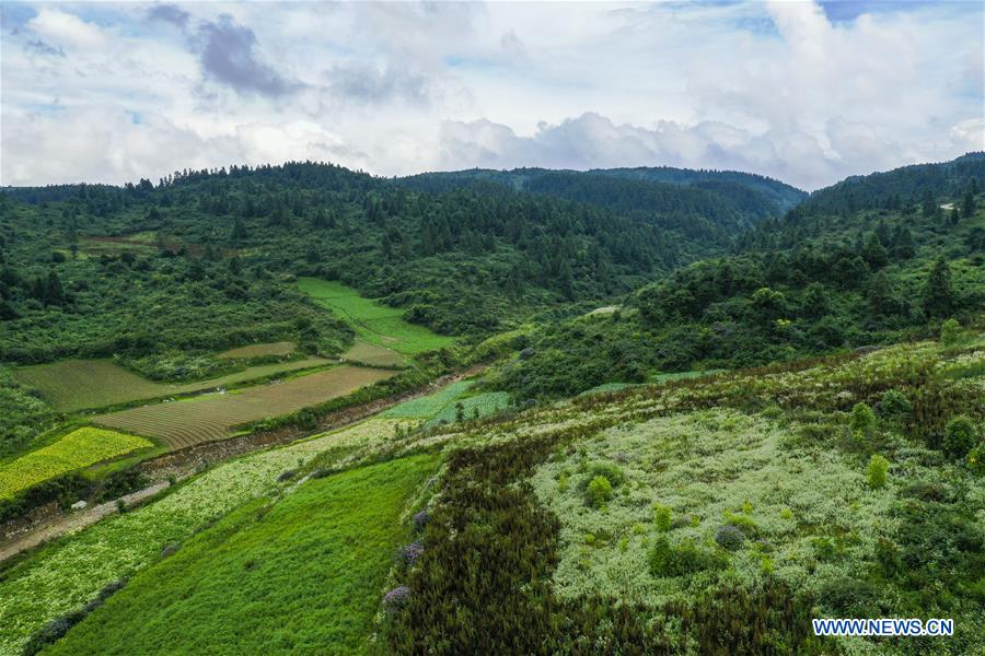 CHINA-CHONGQING-NANTIAN LAKE-SCENERY (CN)