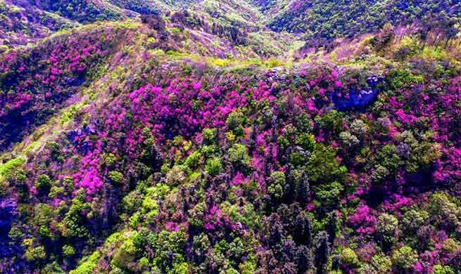 China brimming with vigor during springtime