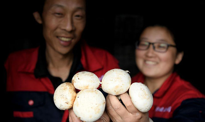 Pic story: villagers shake off poverty by cultivating mushroom in China's Anhui