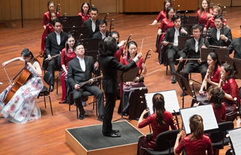 Suzhou Chinese Orchestra presents concert in Budapest, Hungary