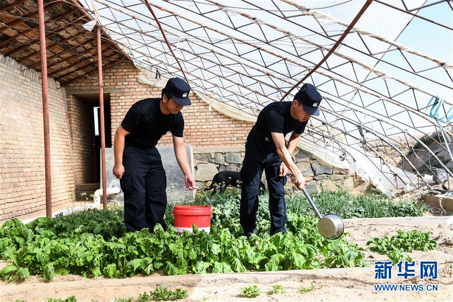 （爱国情 奋斗者·图文互动）（5）印刻在戈壁上的名字