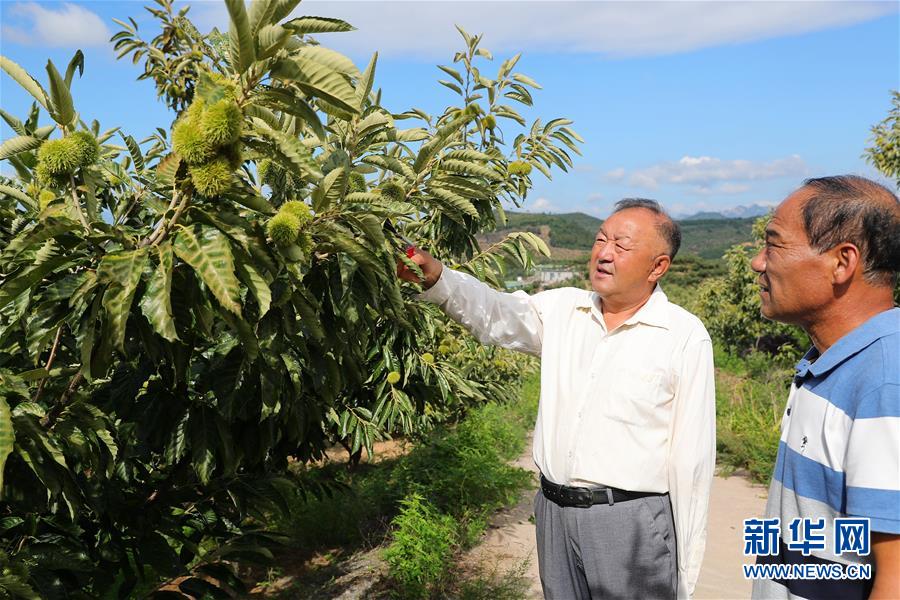 （新华全媒头条·走向我们的小康生活·图文互动）（11）长城脚下，小康村串成“珍珠链”