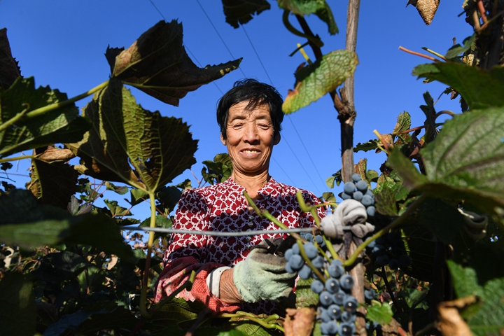 铿锵的时代乐章——党的十八大以来习近平 总书记考察调研过的贫困村脱贫调查