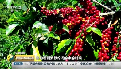 圭亚那咖啡：美洲最古老咖啡